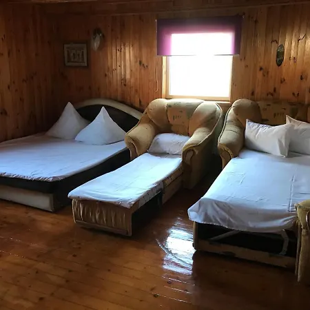 дина 3*
