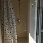 дина 3*